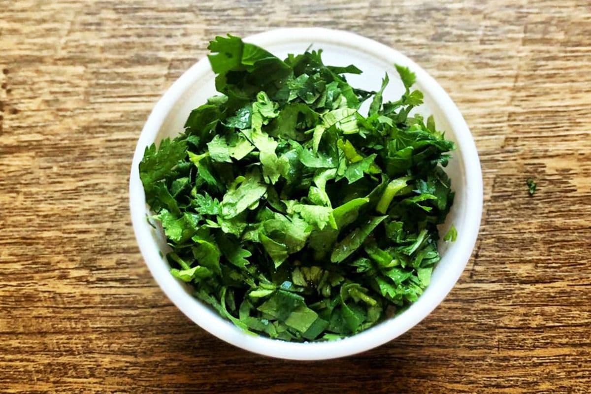 Cilantro