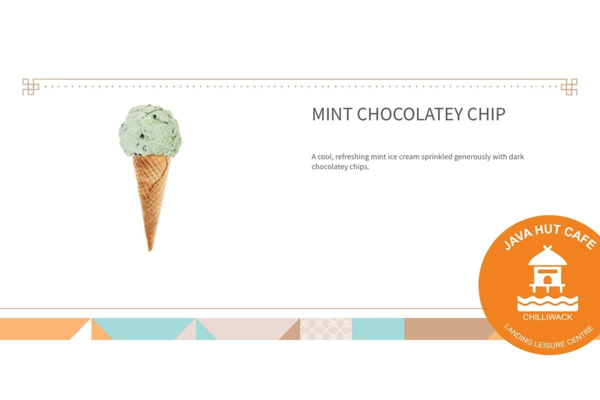 MINT CHOCOLATEY CHIP [Mix up to 3 Flavour] (500 ml)