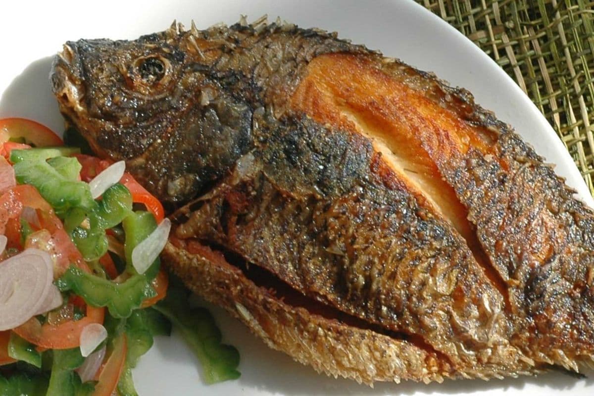 Fried Tilapia