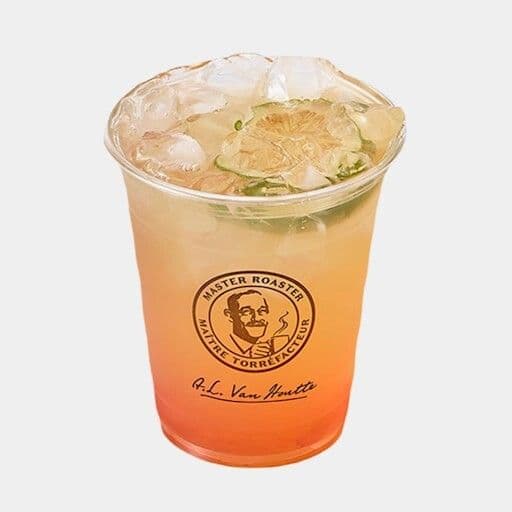Thémonade / Medium (20oz) Teamonade