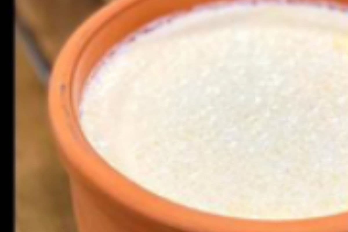Homemade Plain Turkish Yogurt