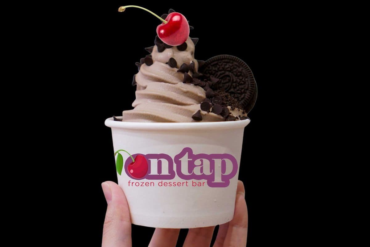 Create Your Own Large Frozen Yogurt