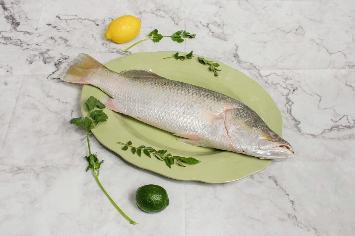 Ceylon Koduva (3lb)