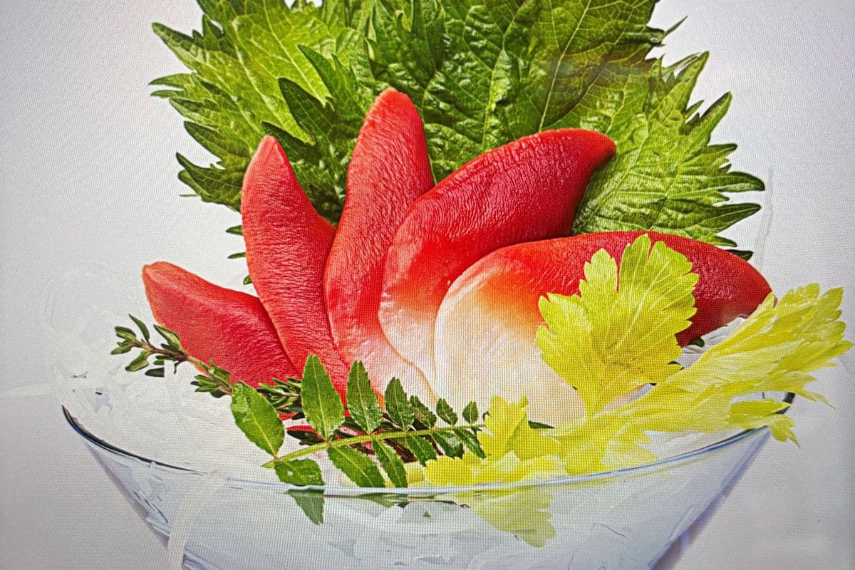 Surf Clam Sashimi