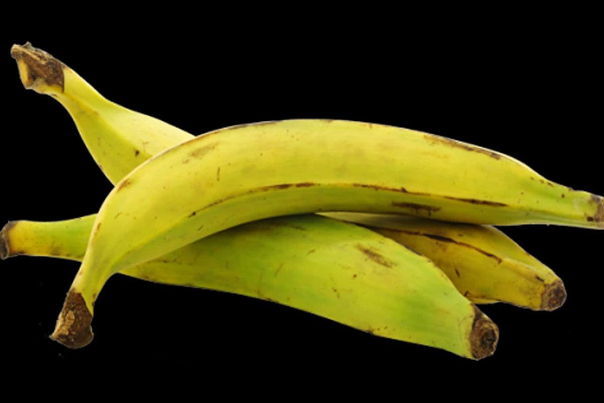 Banane plantains (1kg) / Plantains (1kg)