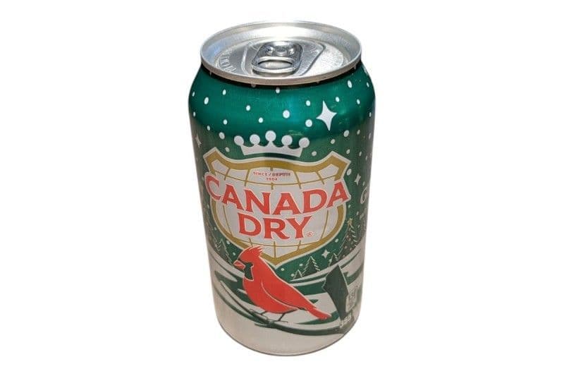 Gingerale Pop [355ml can]