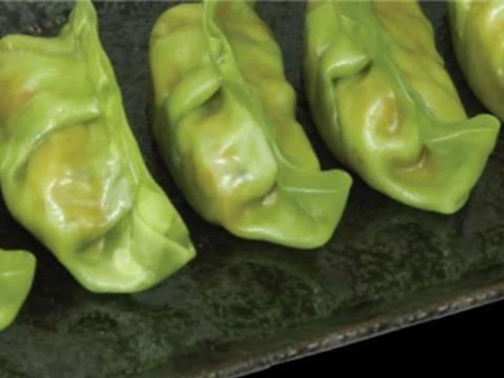 Veggie GYOZA
