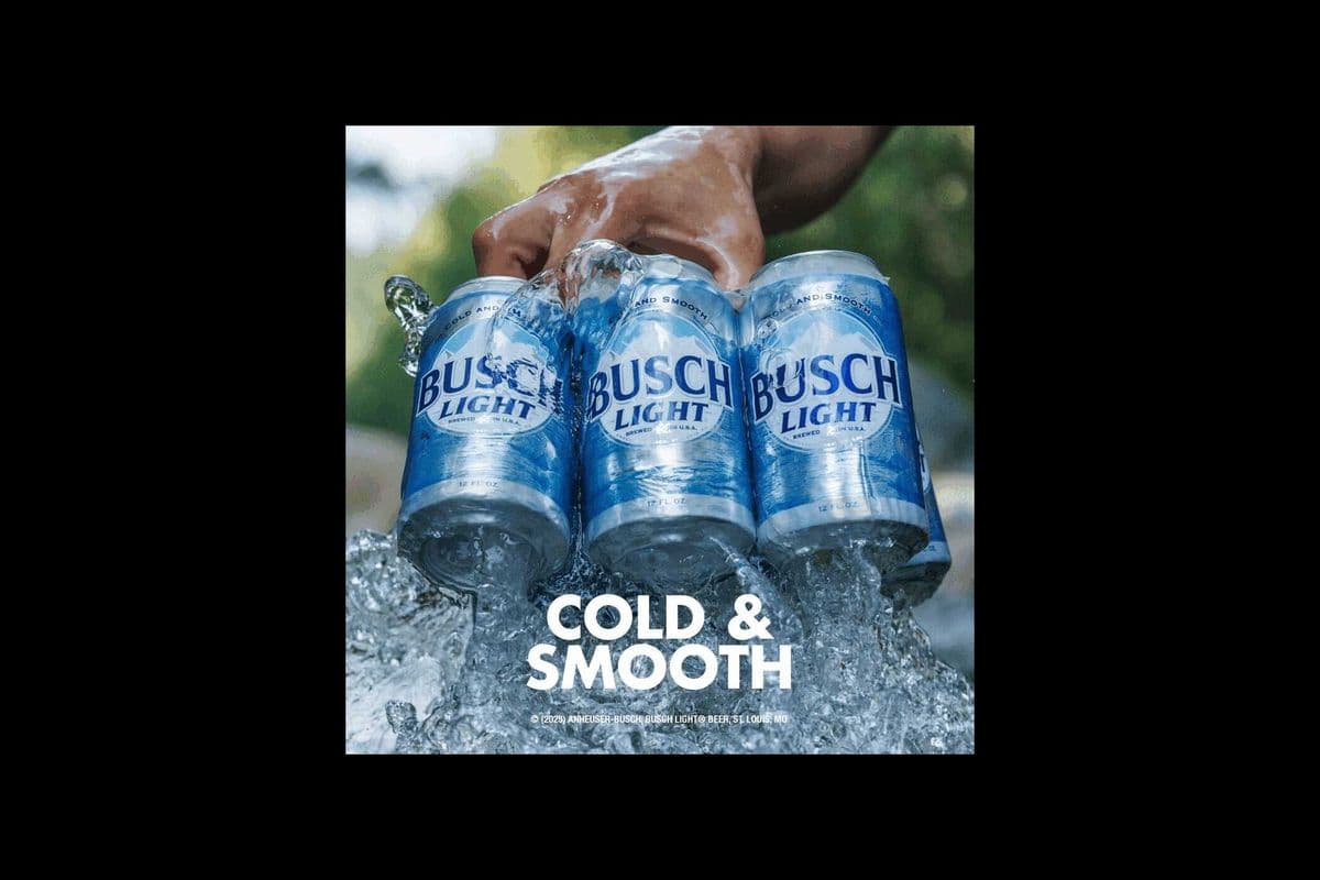 BUSCH LIGHT - 8CAN'S (1 x 8*355ML)