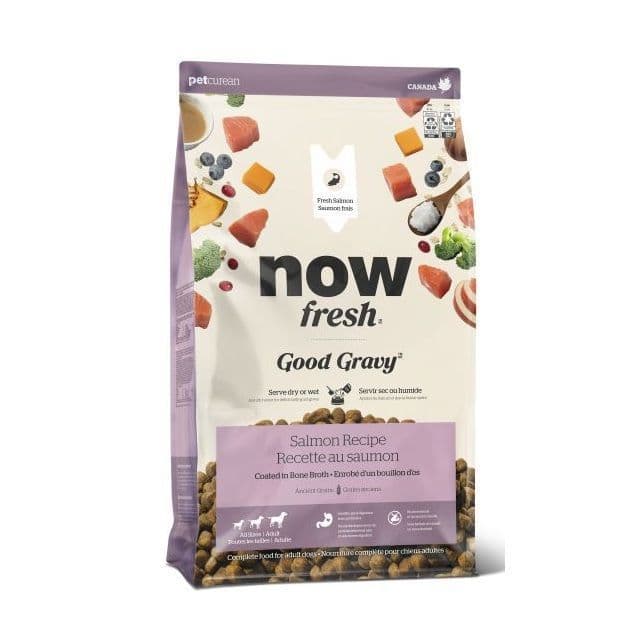 Petcurean Now Fresh Good Gravy Dry Dog Food for Adult Dogs, Salmon 22lb