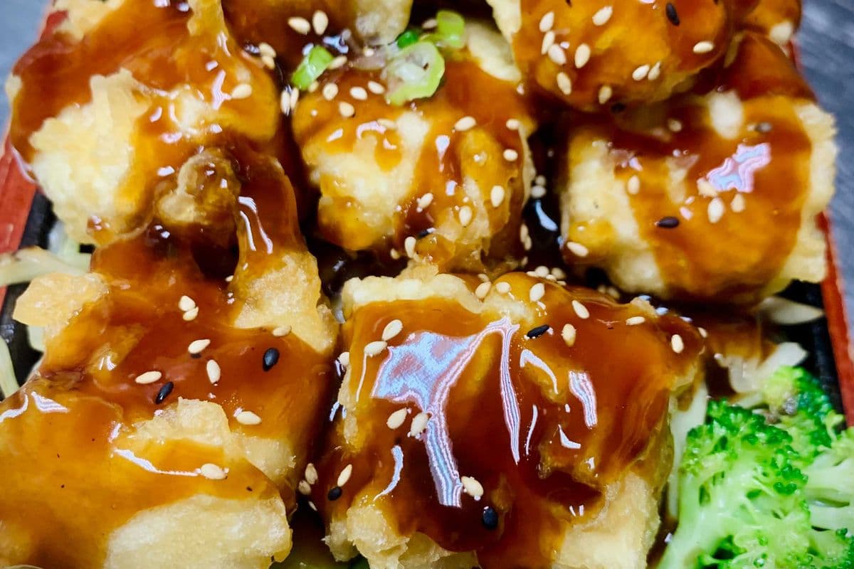 TE01 Tofu Teriyaki