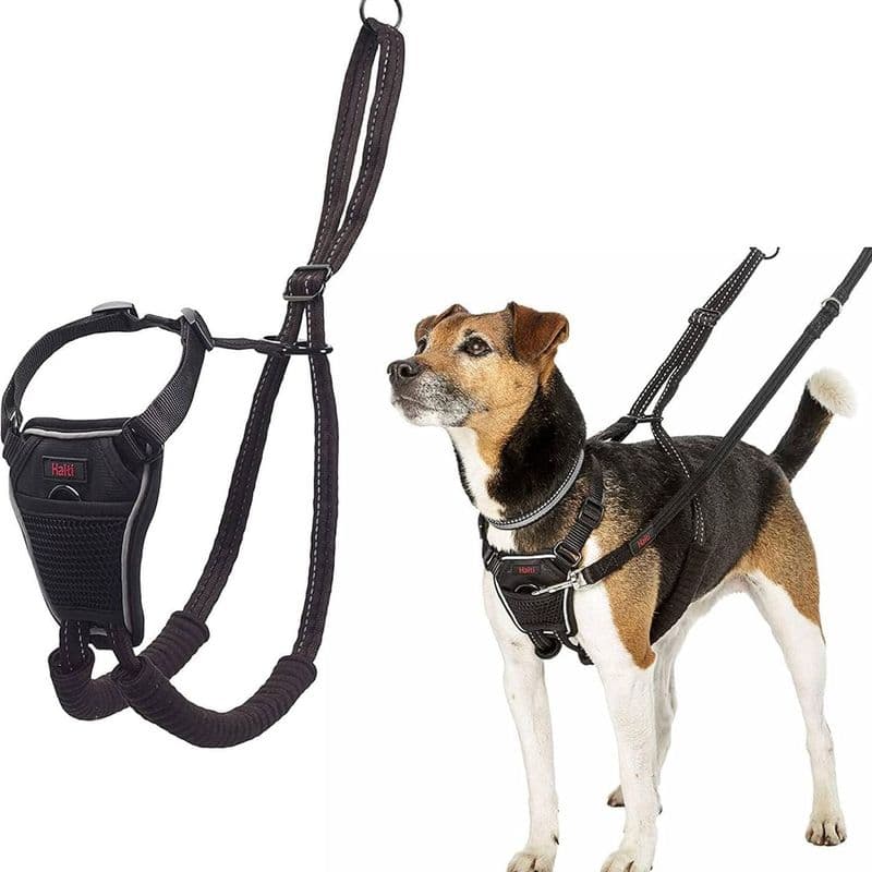 Company Of Animals Halti No-Pull Harness