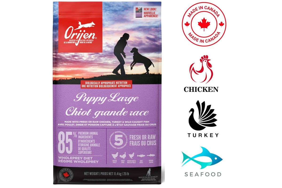 Orijen - Puppy Large Breed Dry Dog Food (25 lb)