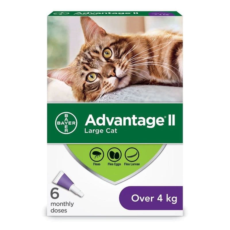 Bayer Advantage II - Cat Over 4 kg