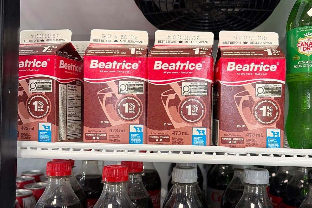 Chocolate Milk (473 ml)
