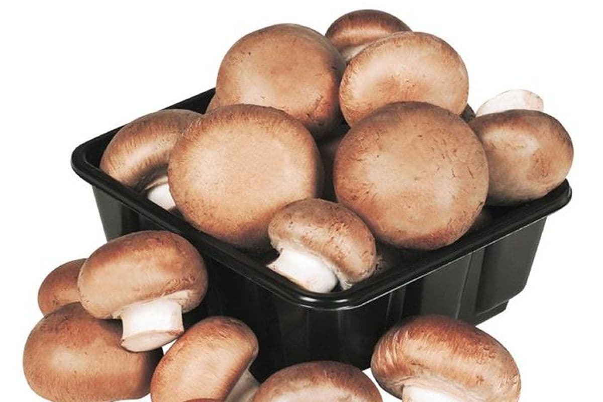 Champignon café