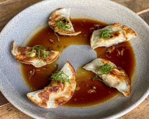 JAPANESE CHICKEN DUMPLINGS