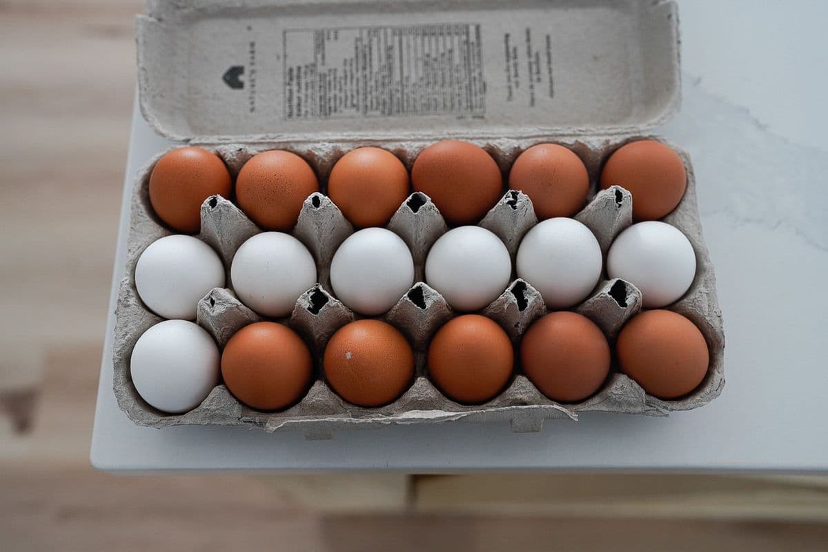 Free Run Eggs (18) - Natures Farm