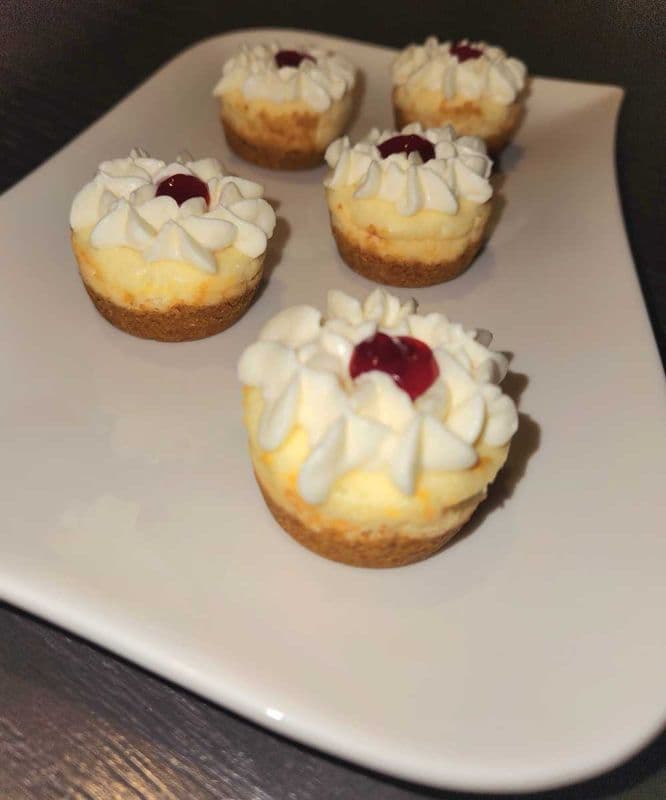 Mini Cheesecakes - 5 pack (Assorted)