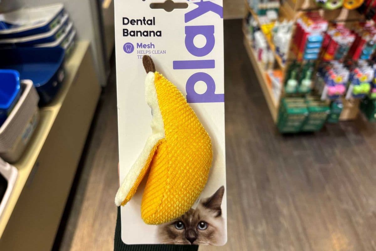 Petstages | Dental Banana