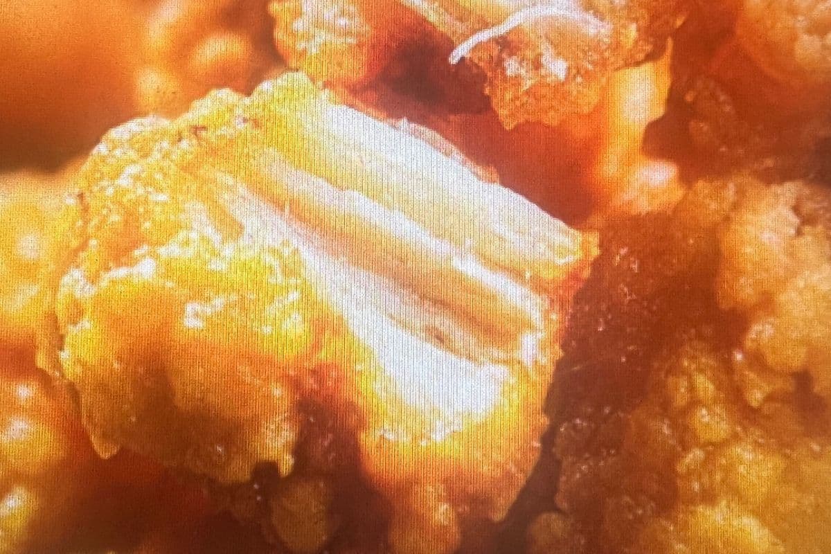 Chicken Karrage (炸鸡块）