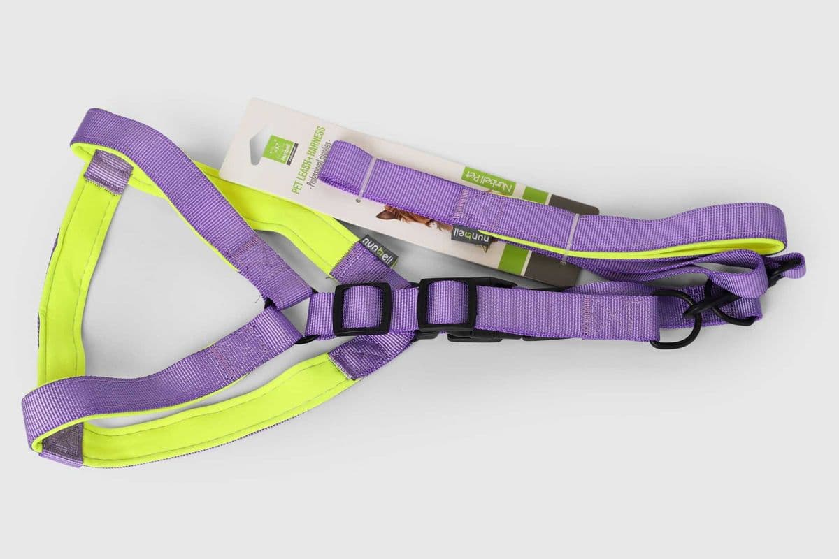 Nunbell Pet Harness with Leash - Assorted Color