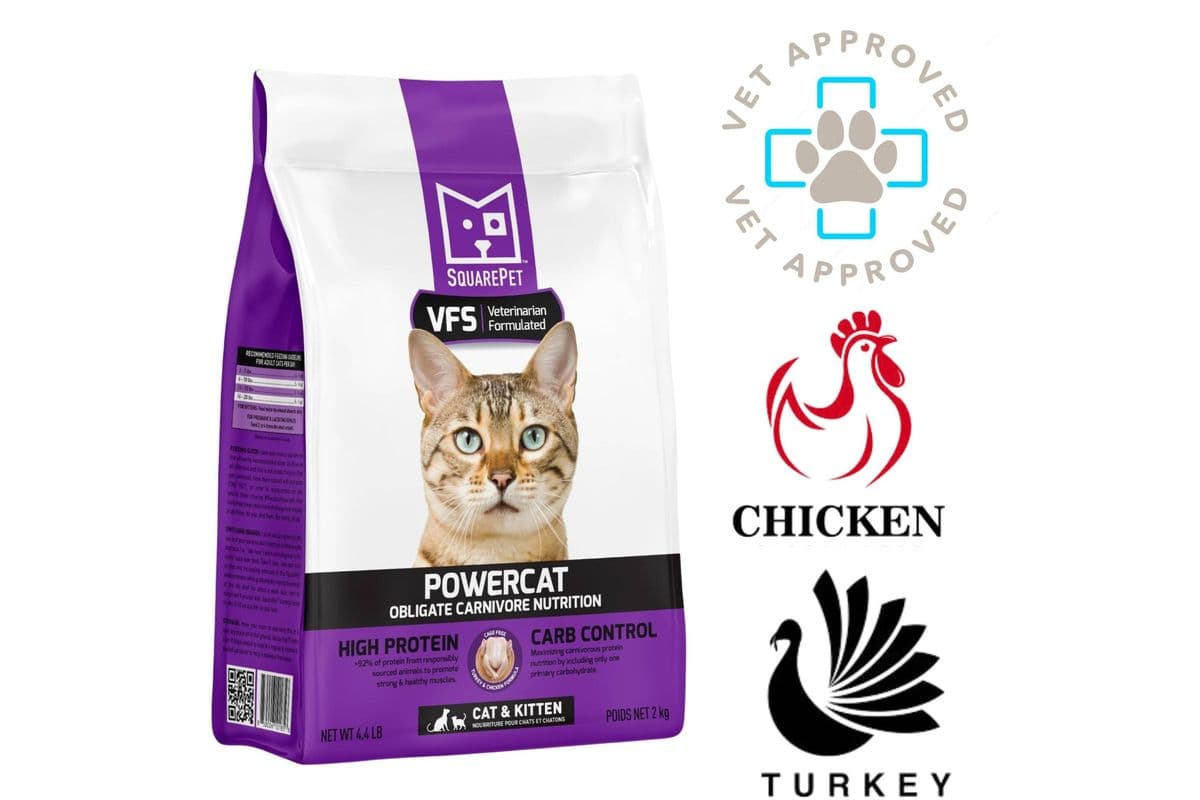 SquarePet - Feline Turkey & Chicken Dry Cat Food (4.4 lbs)