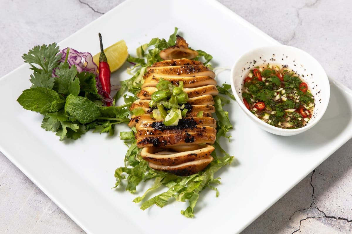 Grilled Calamari