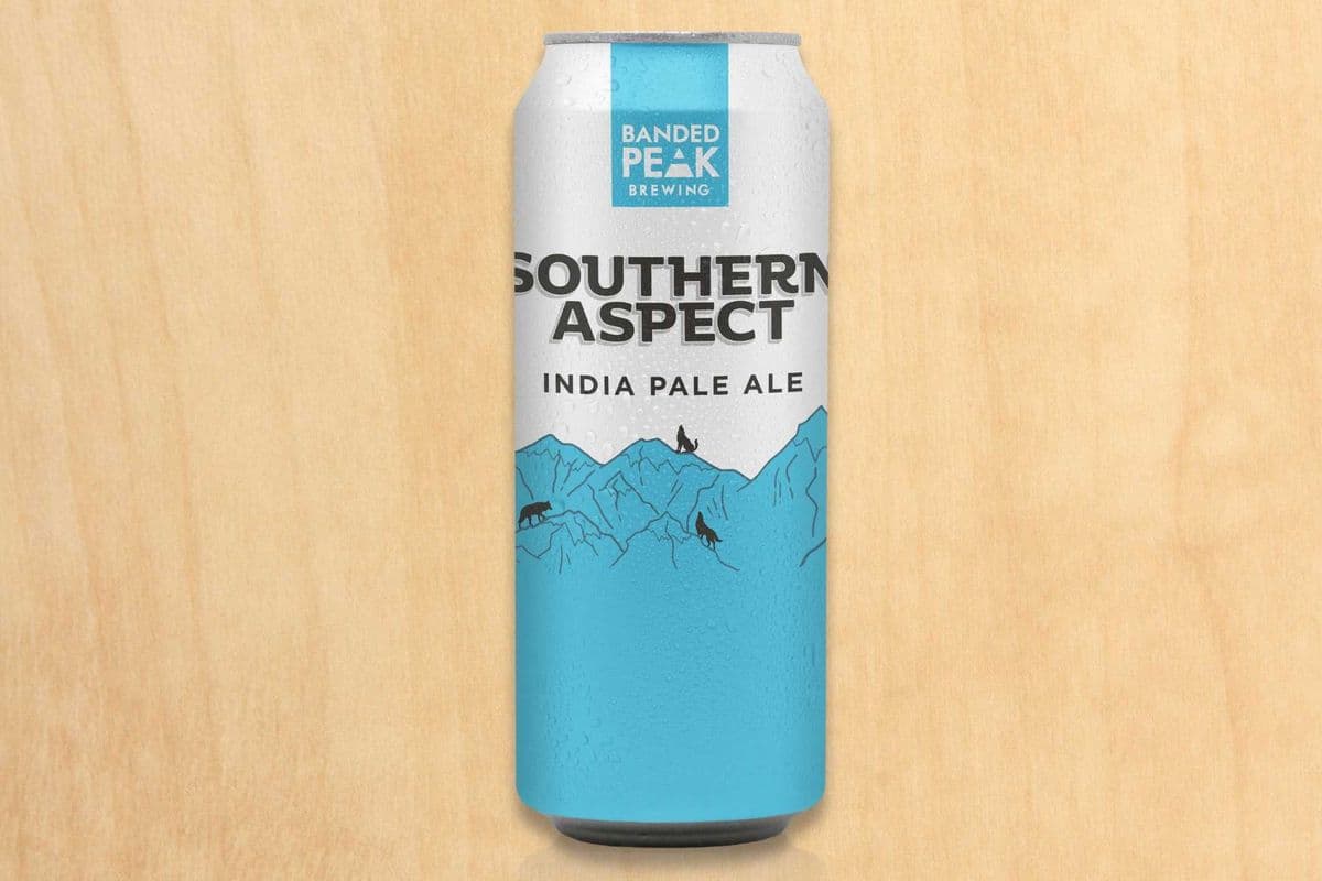 Southern Aspect IPA (1 x 473 ML)