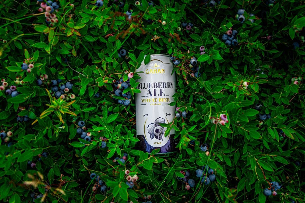 Gahan Blueberry Wheat Ale (1 x 473 ml Can)