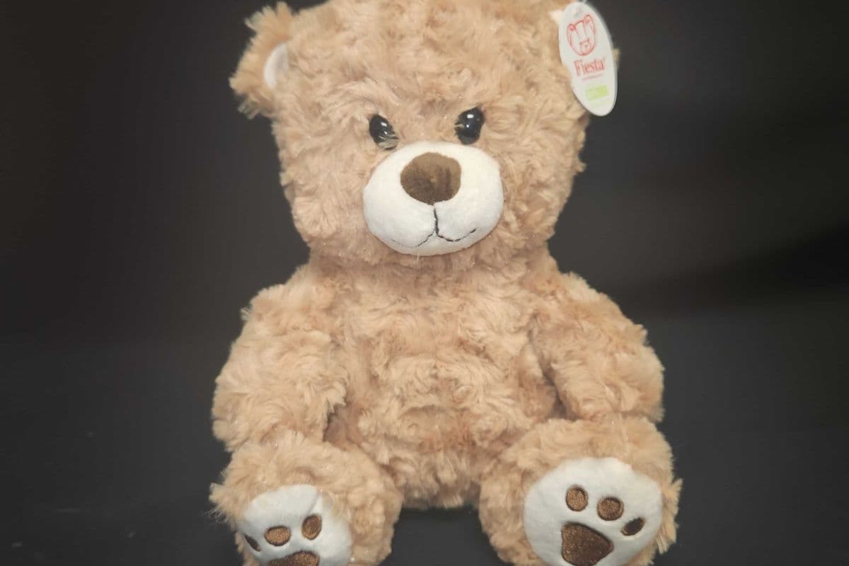 Teddy Bear