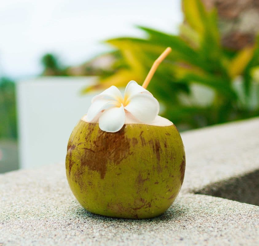 Fresh Coconut / Fresh Coconut