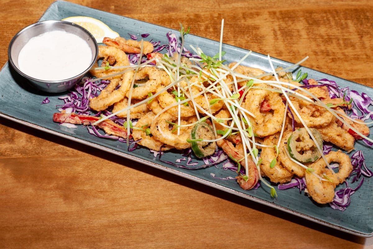 Fried Calamari