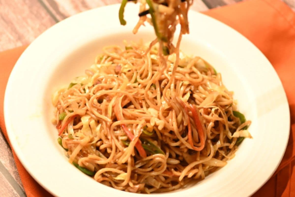 VEG. HAKKA NOODLES
