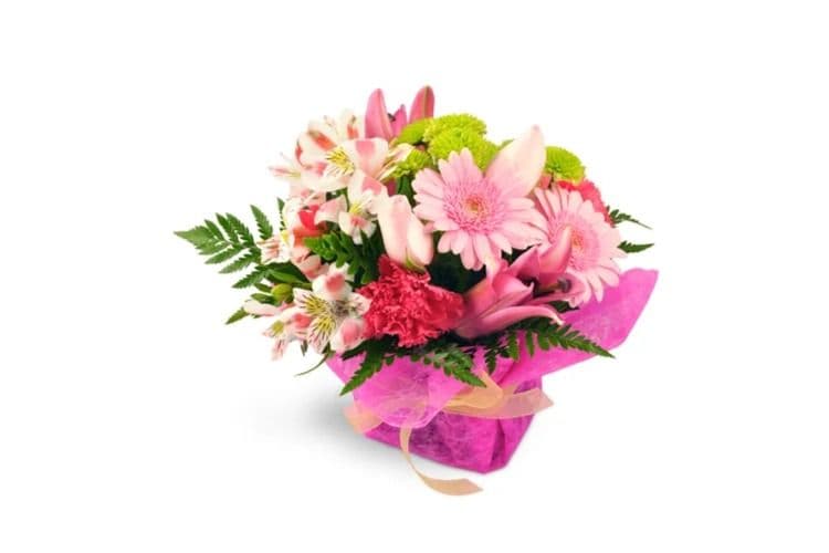 Tickled Pink Deluxe