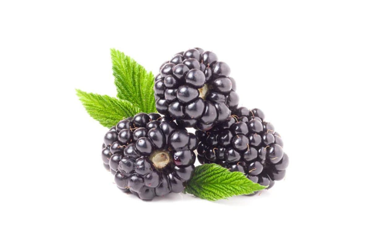 Blackberry (170g)