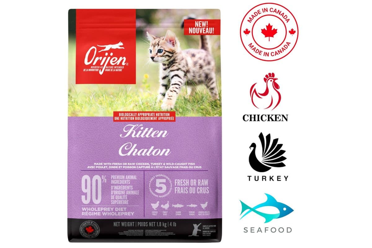 Orijen - Kitten Dry Cat Food (4 lbs)