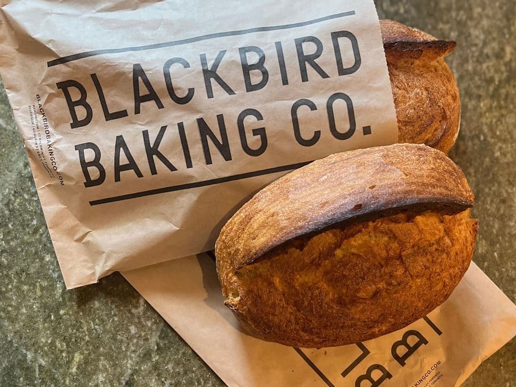 BLACKBIRD KENSINGTON SOURDOUGH LOAF