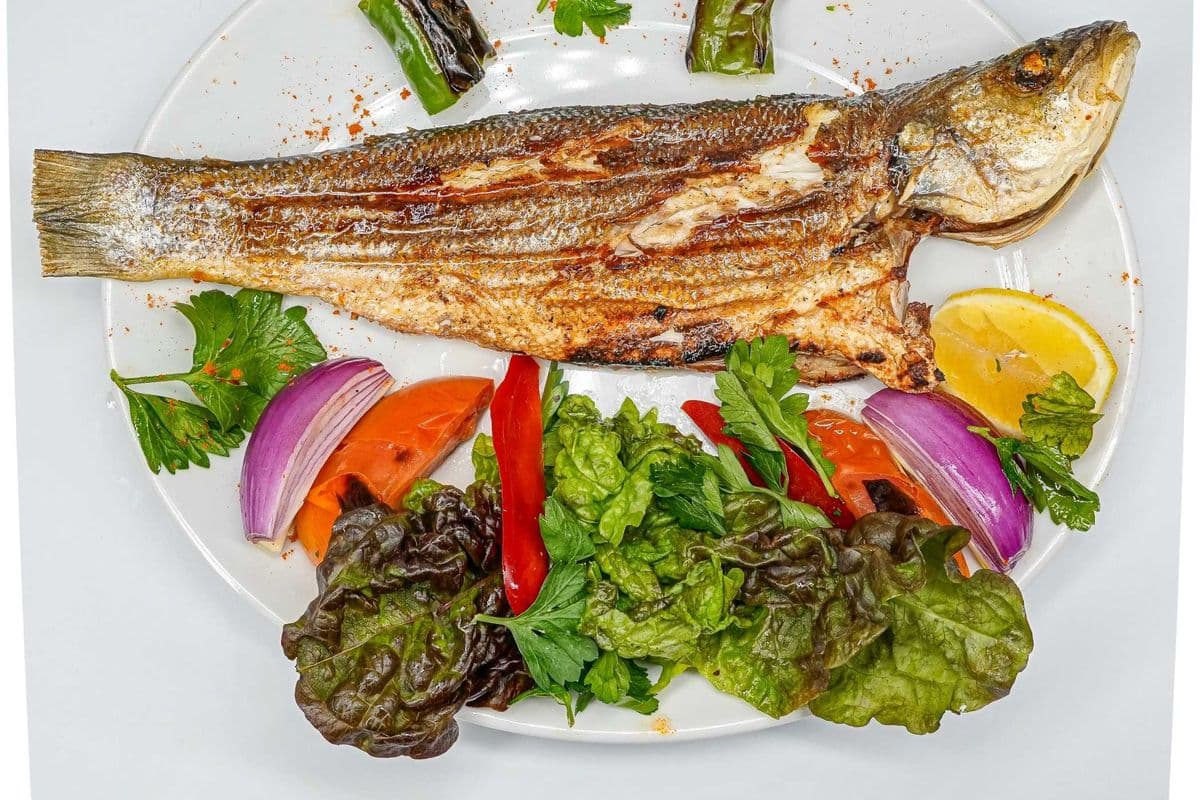 Sea Bass