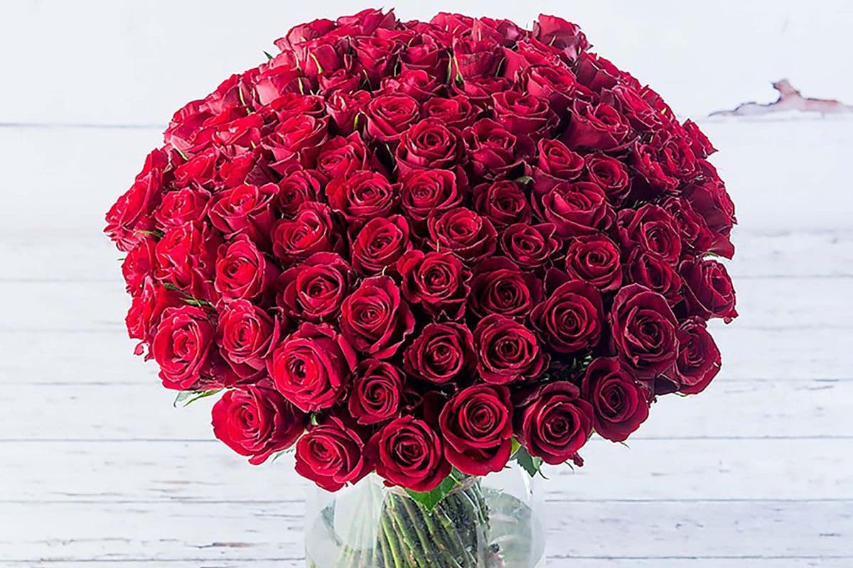 100 Premium Long Stem Red Roses
