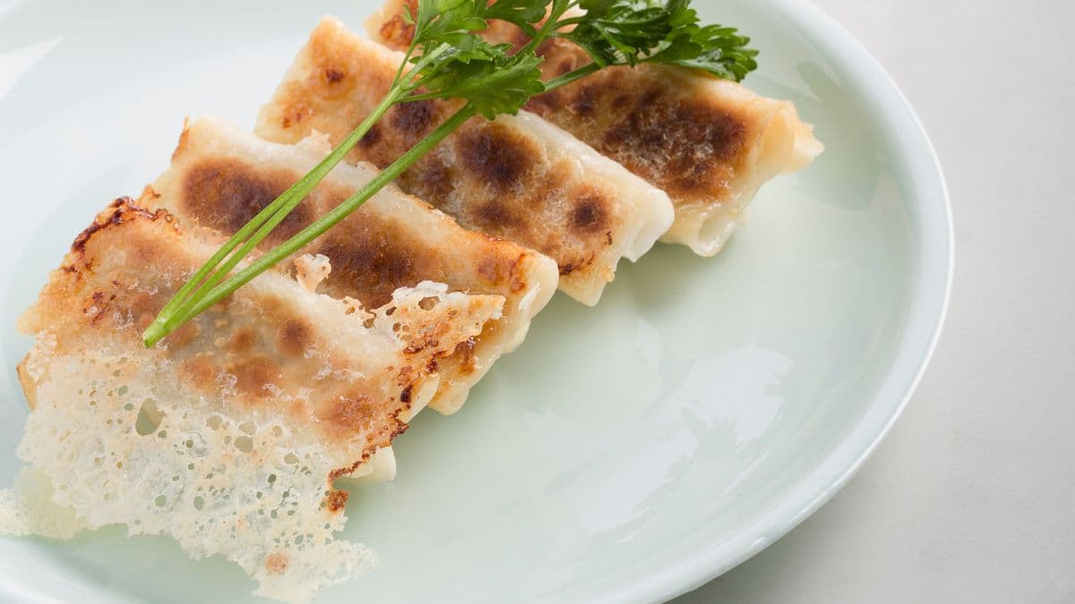 Zucchini and Egg Fried Dumplings(6) 角瓜鸡蛋锅贴