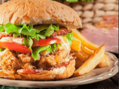 Chicken Burger Combo