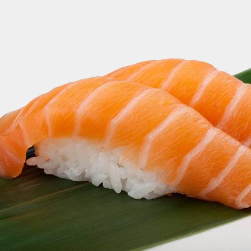 Salmon