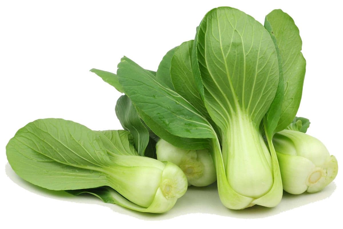 Choy - Bok Shanghai (per lb)