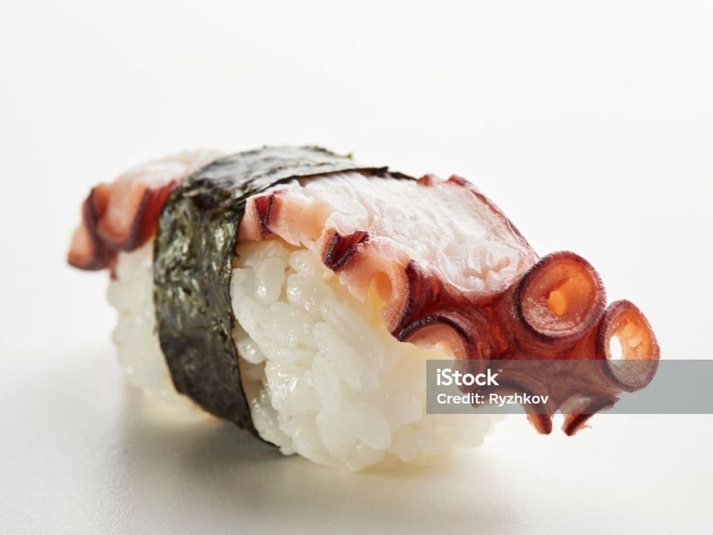 TAKO NIGIRI.  2mcx/ 2pcs