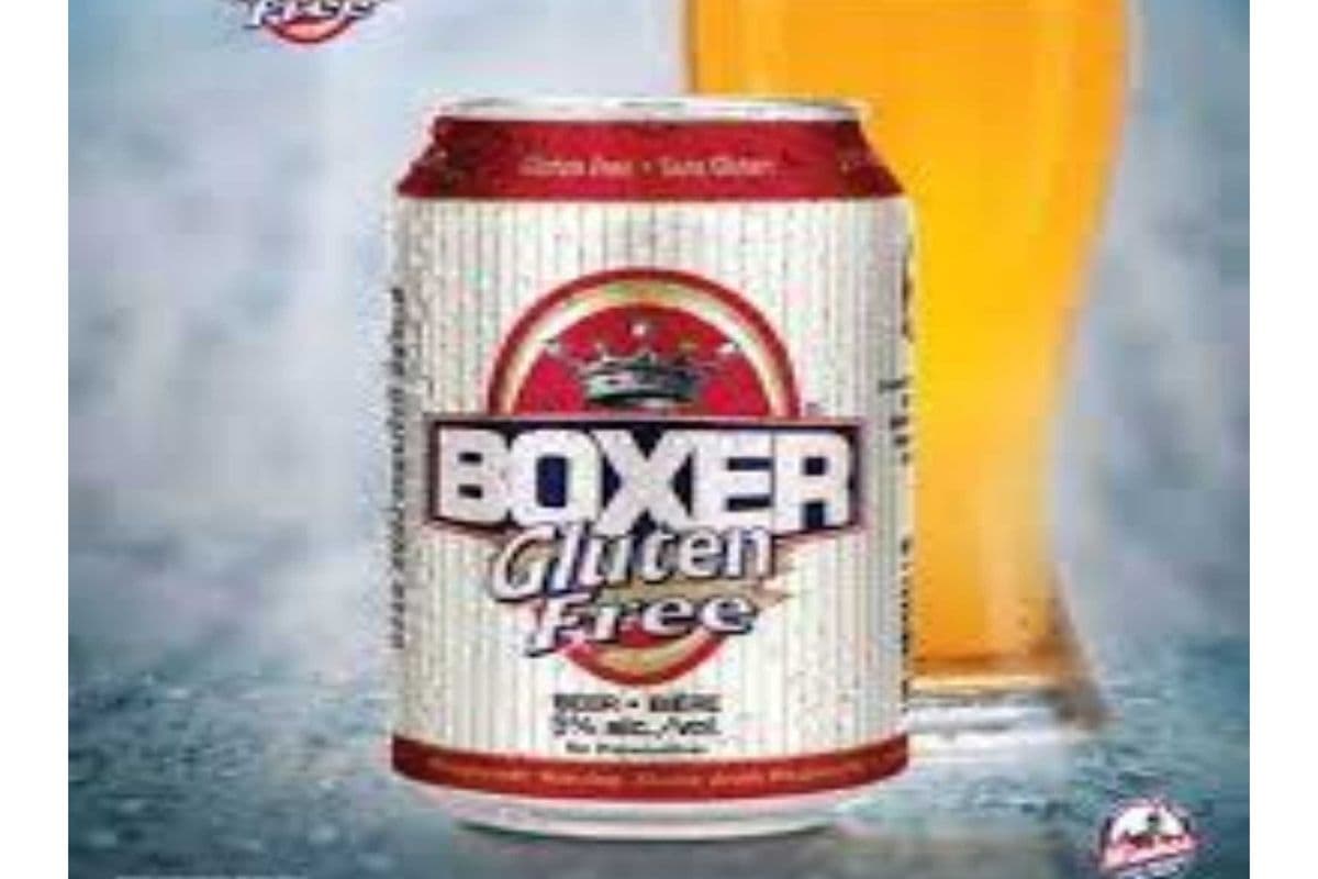 BOXER GLUTEN FREE BEER- 6 PACK (6 x 6*355ml )