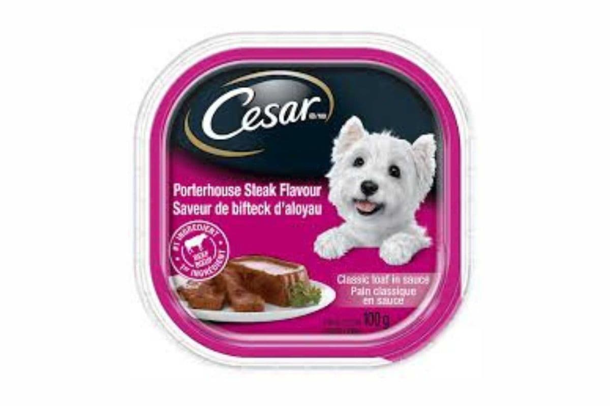 Cesar Porterhouse Steak Flavour (100 g)