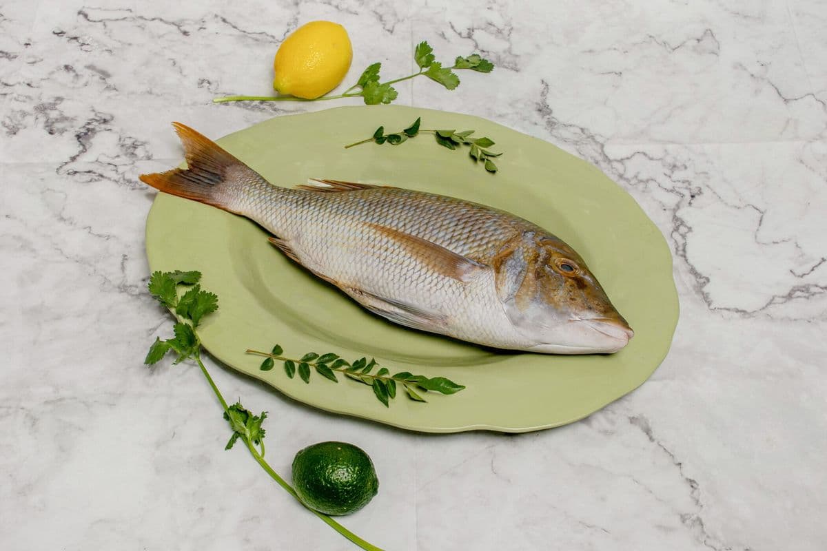 Ceylon Snapper (2lb)
