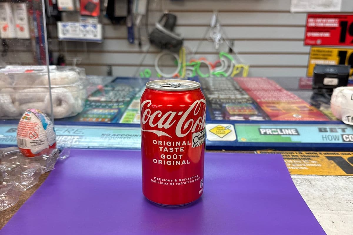 Coke Can (355 ml)