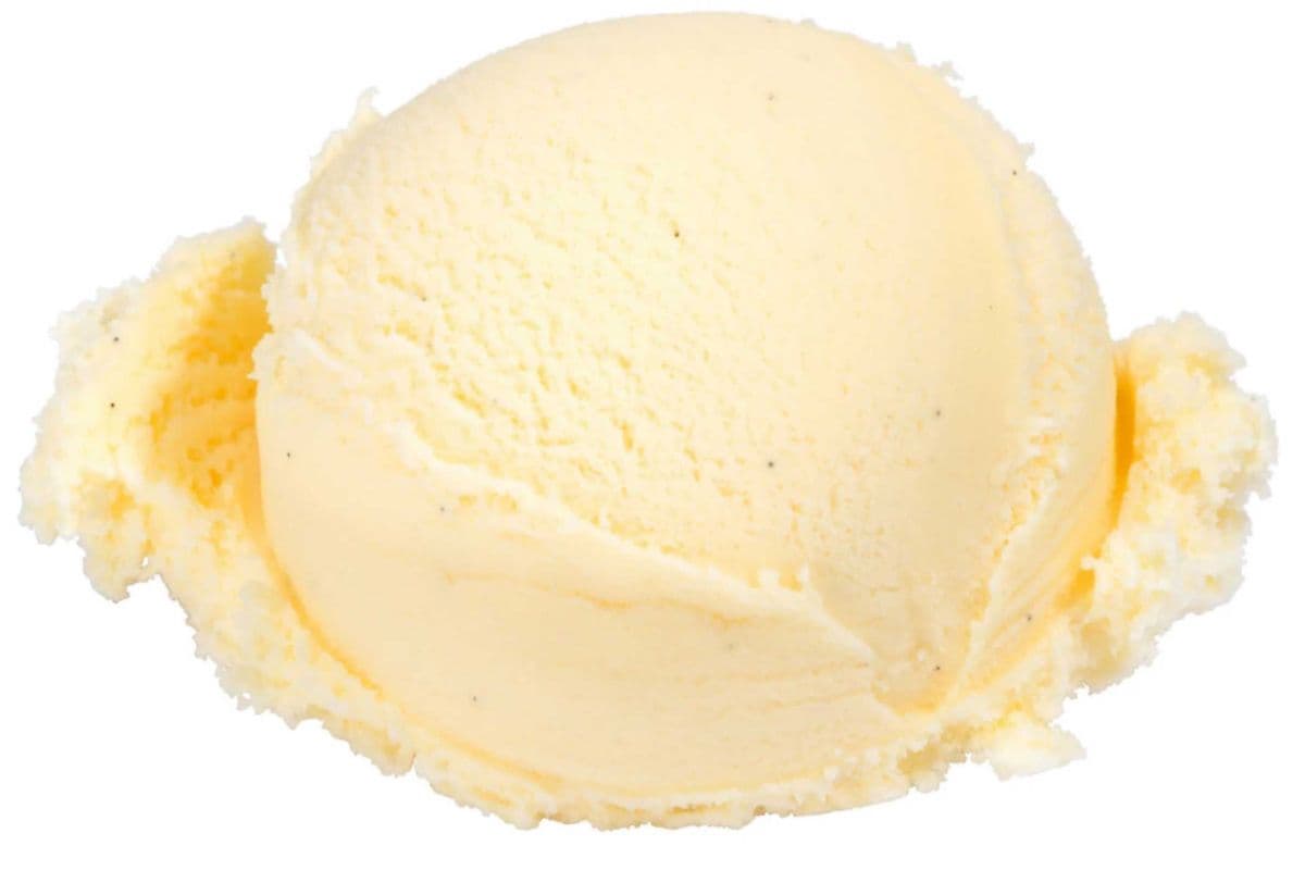 French Vanilla with Bean Ice Cream