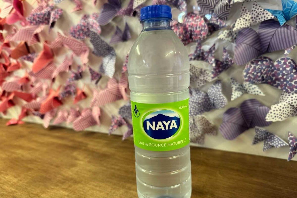 Bouteille d'eau Naya (600 ml)